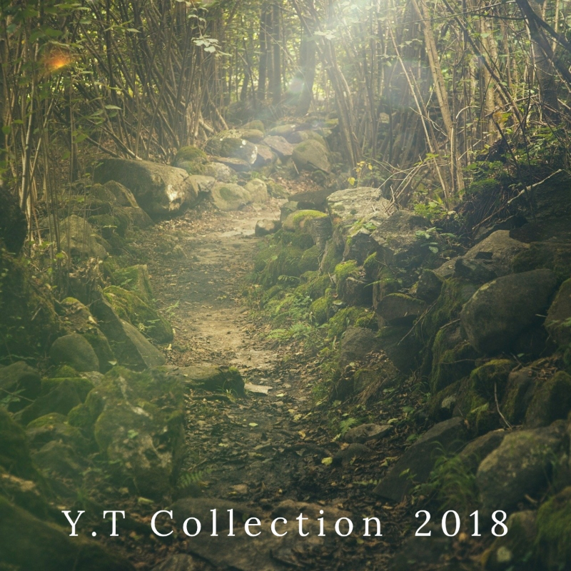 Y.T Collection 2018